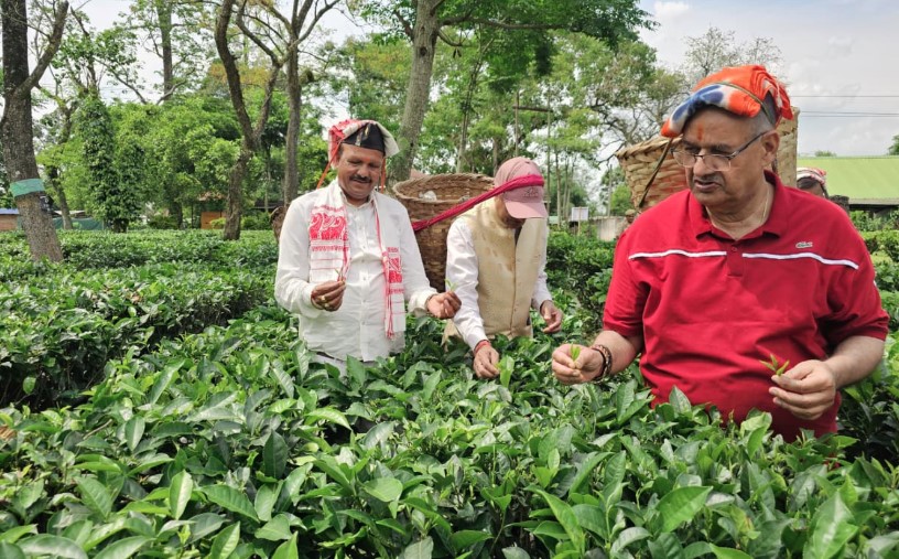 कृषि मंत्री गणेश जोशी ने असम के हाथीकुली चाय बागान का किया अवलोकन कृषि मंत्री गणेश जोशी ने असम के हाथीकुली चाय बागान का किया अवलोकन